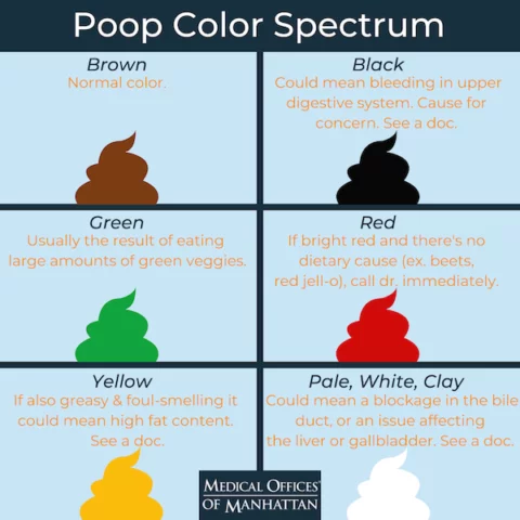 What Does Your Poop Say About Your Health? - Medical Offices of Manhattan