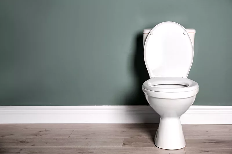 why you're pooping more, toilet