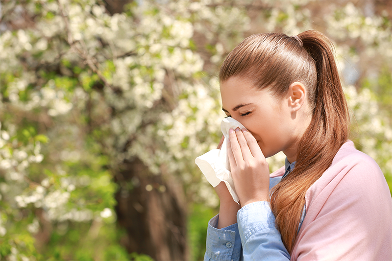 When is New York City allergy season?