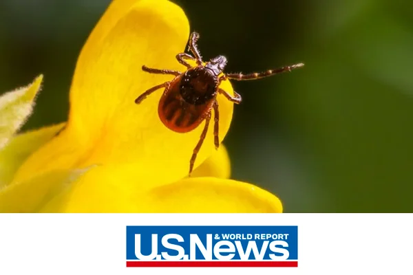 tick prevention