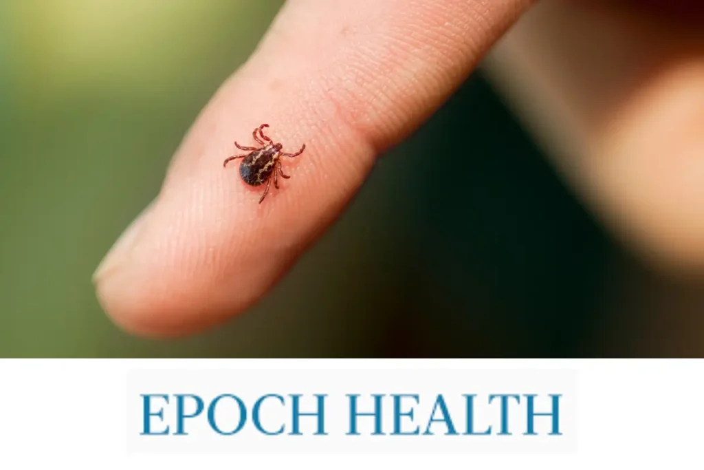 ER Visits for Tick Bites Highest in Over a Decade. How to Protect Yourself